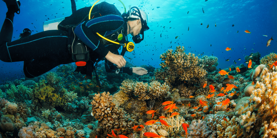 andaman adventurous islands