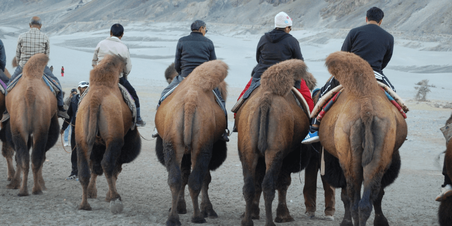 manali to leh suv and bike