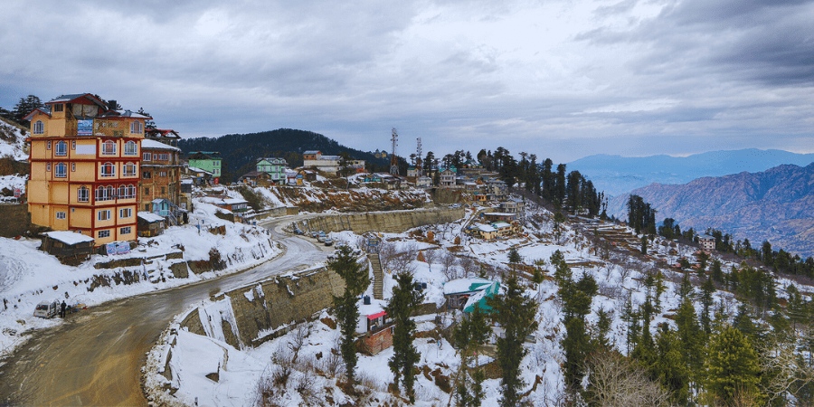 lavish shimla with himalayan wildlife zoo