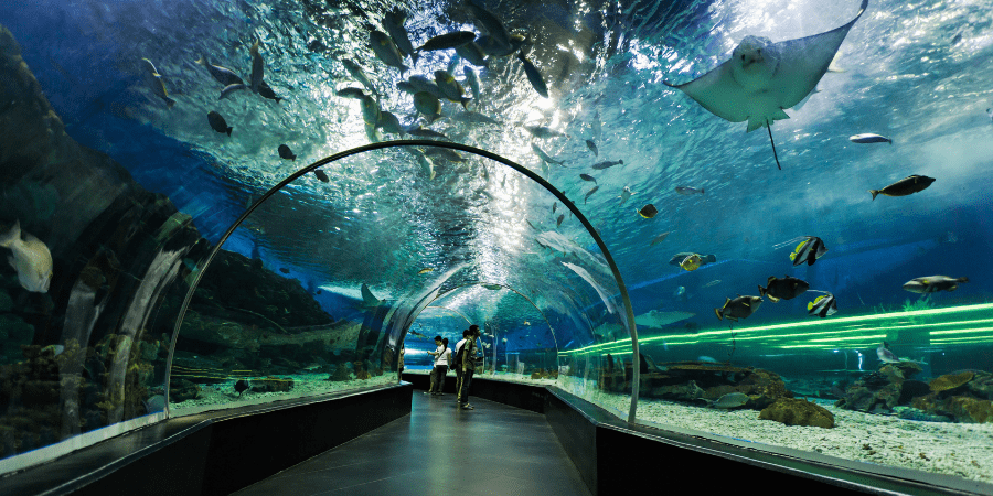 dubai with long vacation with ferrari world