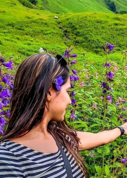 valley of flowers with hemkund sahib
