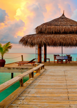 offshore getaway to maldives with dolphin cruise