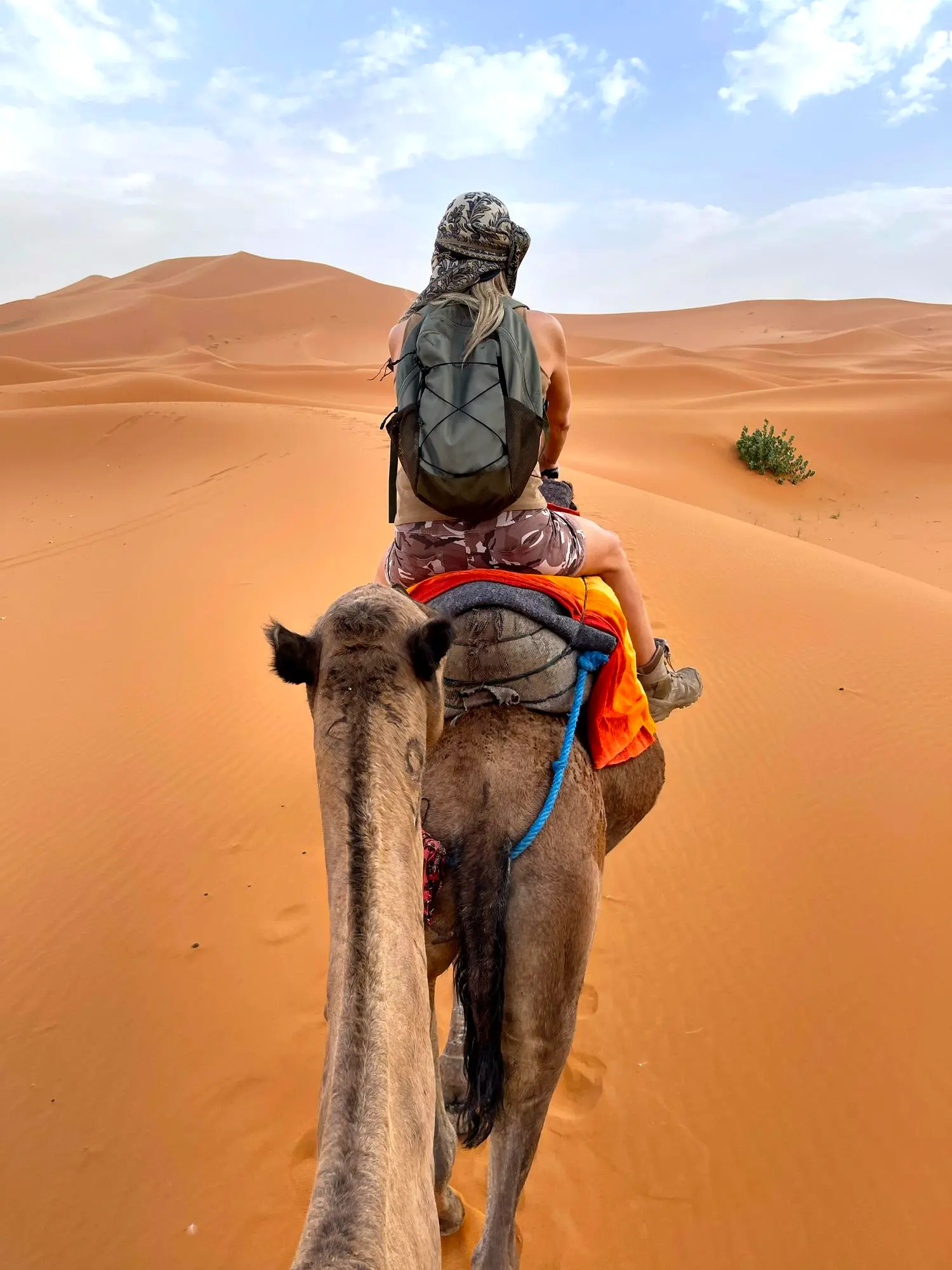 Rajasthan